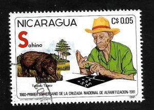 Nicaragua 1981 - CTO - Scott #1113