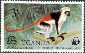 Red Colobus Monkey, Uganda stamp SC#179 MNH