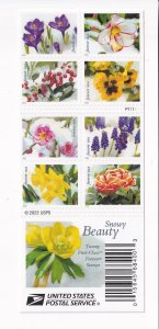 U.S.: Sc #5727-36, Snowy Beauty, Forever Stamps, Booklet of 20, MNH