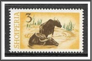 Albania #798 Water Buffalo MNH