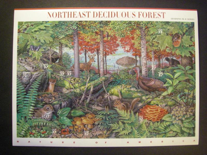 Scott 3899, 37c NE Diciduous Forest, Nature of America, 7th in series, MNH Beaut