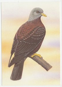 Postal stationery Sao Tome and Principe Bird - Pigeon - Dove