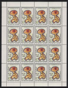 Somalia Saffron milk cap Fungus 'Lactarius deliciosus' Sheet 1994 MNH MI#503