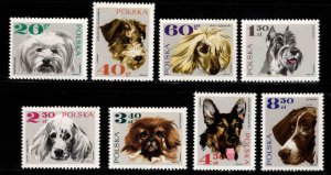 Poland Scott 1636-1643 MNH** Dog, Canine stamp set