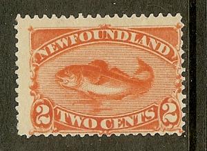 Newfoundland, Scott #48, 2c Codfish, MH