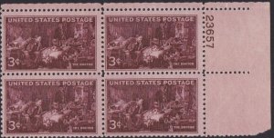 949 Doctors plate Block MNH