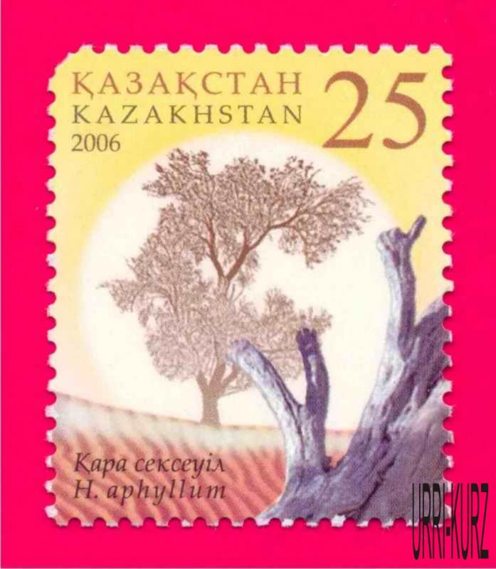 KAZAKHSTAN 2006 Nature Flora Plants Tree Saxaul 1v Sc510 Mi534 MNH