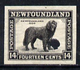 Newfoundland 1941-44 KG6 Newfoundland Dog 14c black imper...