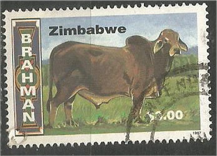 ZIMBABWE, 1997, used $3  Cattle Scott 773