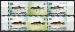 BOSNIA SERBIA(119) - Fish - European Nature Protection - MNH Middle Row - 2010