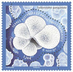 FSAT Scott #558 Foraminifera  MNH