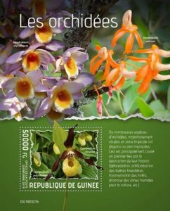 Guinea - 2019 Orchid Flowers on Stamps - Stamp Souvenir Sheet - GU190321b