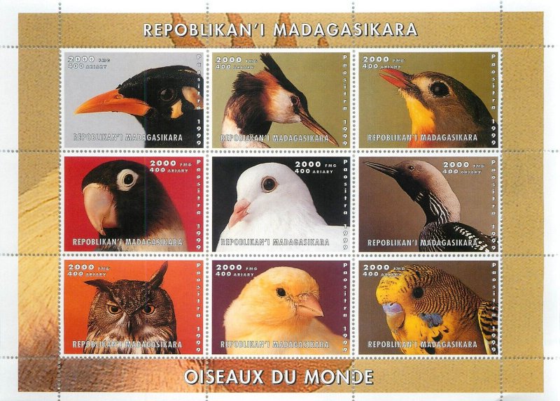 4. Cinderella Madagascar 1999 Birds