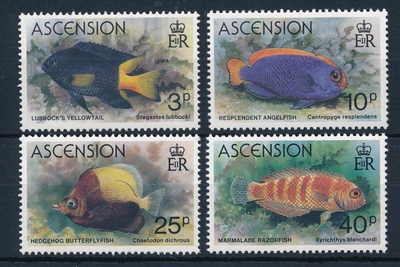 [31453] Ascension 1980 Marine life fish angelfish butterflyfish  MNH