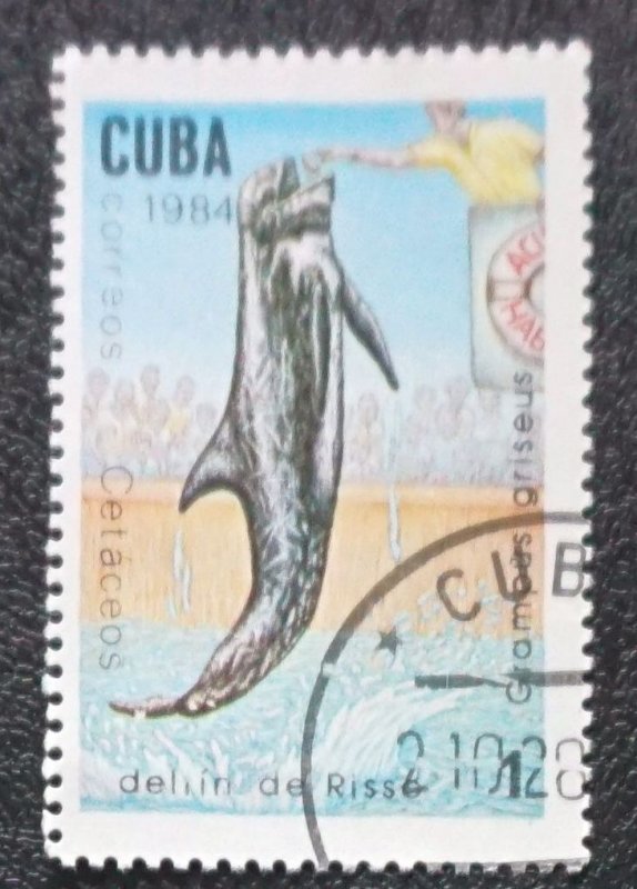 CUBA Sc# 2677 MARINE MAMMALS ocean sea life 1c  1984  used cto