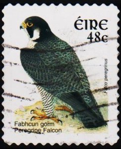 Ireland. 2002 48c S.G.1495d Fine Used