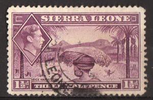 Sierra Leone - #175A - used