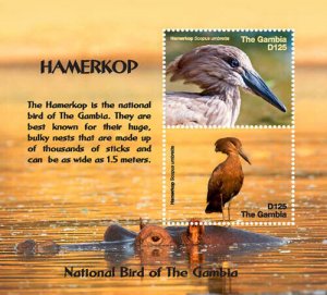 Gambia 2017 - Hamerkop - National Bird - Souvenir Stamp Sheet - MNH