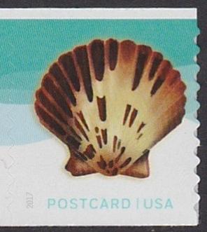 US Stamp #5170 MNH - Non-Denominated Sea Shell Coil Single