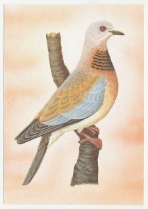Postal stationery Sao Tome and Principe Bird - Pigeon - Dove