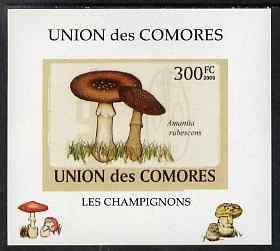 Comoro Islands 2009 Fungi #4 - 300 FC individual imperf d...