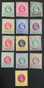 MOMEN: NATAL SG #127-139 1902-03 MINT OG H LOT #61187