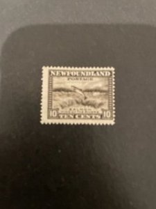 Newfoundland sc 193 MNH