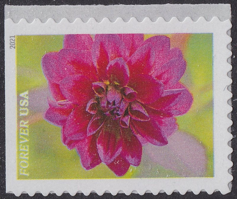 US 5558-5567 Garden Beauty forever set (10 stamps) MNH 2021