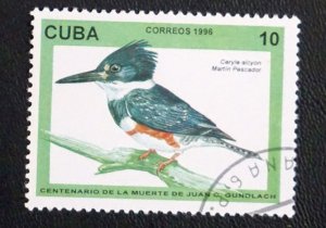 CUBA Sc# 3731  JUAN GUNDLACH BIRDS 10c   1996  used cto