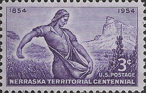 # 1060 MINT NEVER HINGED NEBRASKA TERRITORY