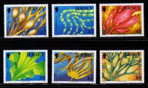 Jersey Sc 1383-88 2009 Seaweeds stamp set mint NH