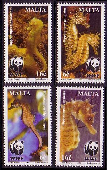 Malta WWF Mediterranean Seahorses 4v SG#1243-1246 SC#1071-1074 MI#1207-1210