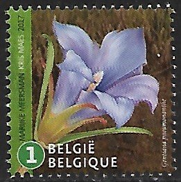 Belgium # 2834h - Marsh Gentian - MNH -{B}