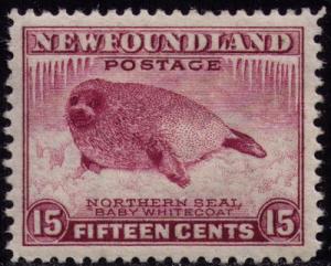 Newfoundland # 262  Mint VF LH   Cat $ 3
