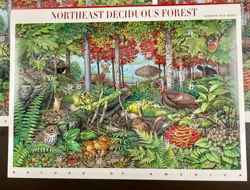 3899 Northeast Deciduous Forest Lot of 5 MNH 37 c Sheets of 10 FV $18.50   2005