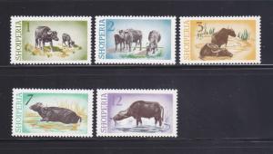 Albania 796-800 Set MH Animals, Water Buffalo (A)