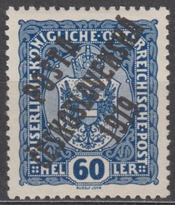 Czechoslovakia Scott #B13 1919 MH