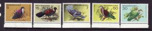 Papua New Guinea-Sc#465-9-unused NH set-Protected Birds-1977-