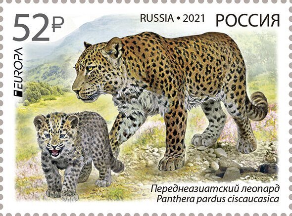 Russia 2021 MNH Stamps Scott 8224 Europa CEPT Animals Persian Leopard