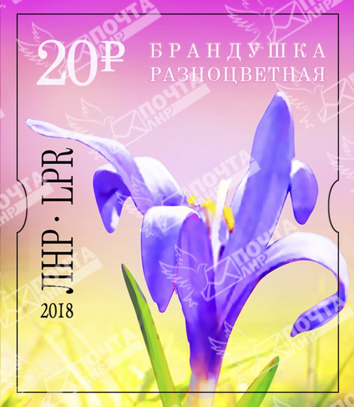 Stamps of Ukraine (local) 2018 - Standard postage stamp Brandushka multicolored