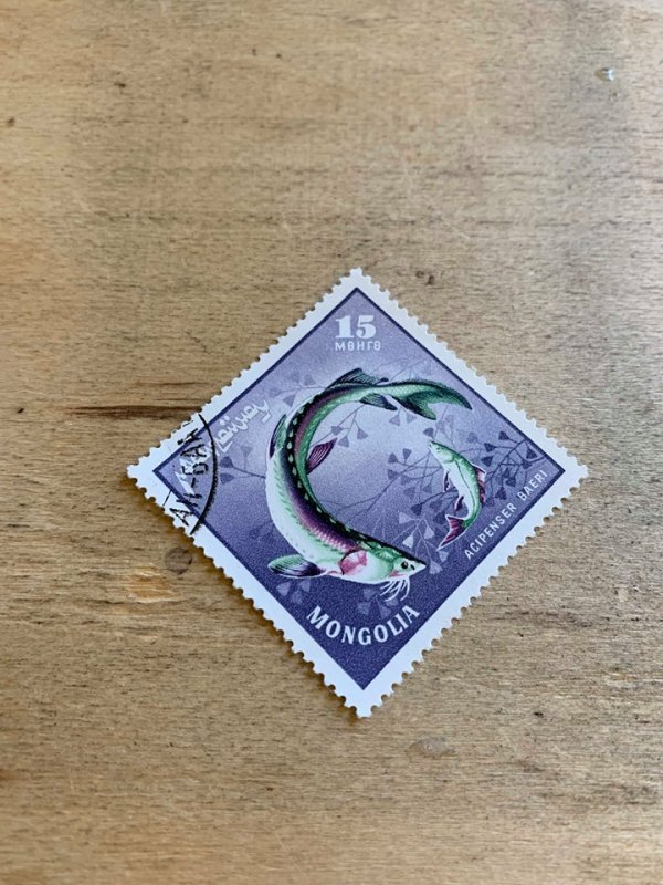 Mongolia 391