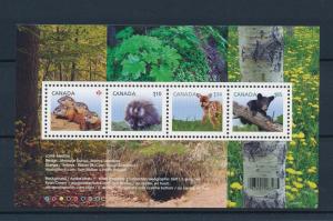 [39411] Canada 2013 Young Animals Porcupine Bear Deer MNH Sheet