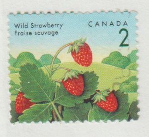 1350  Fruit Definitive