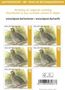 Belgium 2023 MNH Stamps Mini Sheet Birds Quail