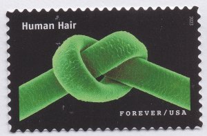 US 5802a-5802t 5802 Life Magnified forever set (20 single stamps) MNH 2023