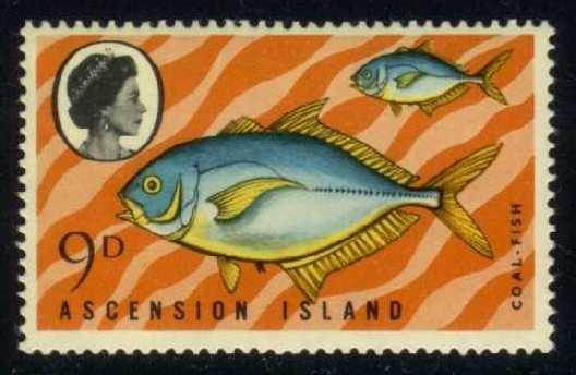 Ascension #131 Coalfish, MNH (3.25)