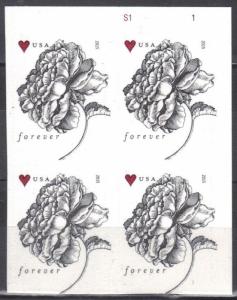#4959, PB-4 U/R.Vintage Rose MNH. Forever