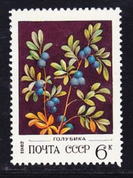 Russia 5024 Blueberries MNH Single