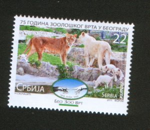 SERBIA-MNH** STAMP-FAUNA-LION-TIGER-2011.