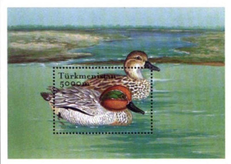 Exclusive Birds Ducks Butterflies Stamps of Turkmenistan 2002